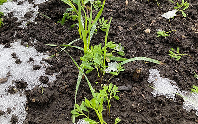 Quelle: agroscope.admin.ch