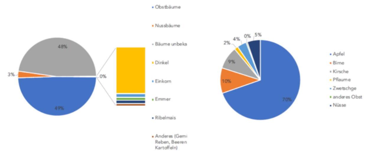 Links: Bewirtschaftete Flächen mit alten Sorten auf IP-Suisse-Betrieben 2002, rechts: Bewirtschaftete Bäume mit alten Sorten auf IP-Suisse-Betrieben 2002. Quelle: Darstellung Carbotech AG, basierend auf dem Monitoring der PGREL der SKEK (2023).
