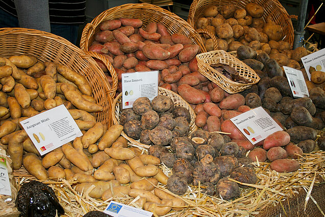 Kartoffel Vielfalt. (Bild: ProSpecieRara)