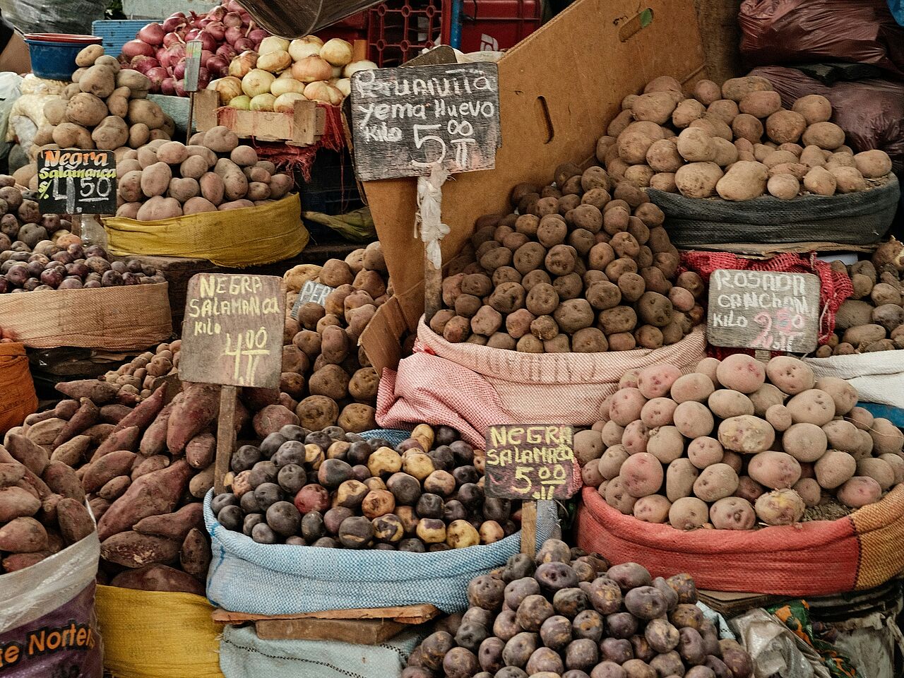 Bild: Selina Bubendorfer