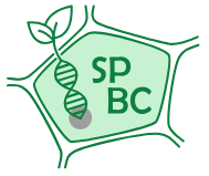 [Translate to French:] 